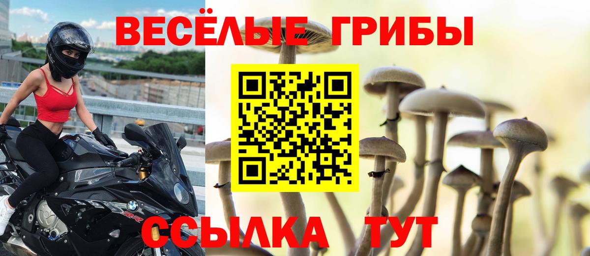 Галлюциногенные грибы MAGIC MUSHROOMS  Псилоцибиновые грибы прущие грибы  Лыткарино  цена   Вход с VPN 